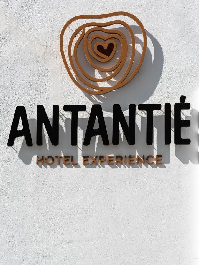 Hotel Antantie Conil De La Frontera Exteriér fotografie