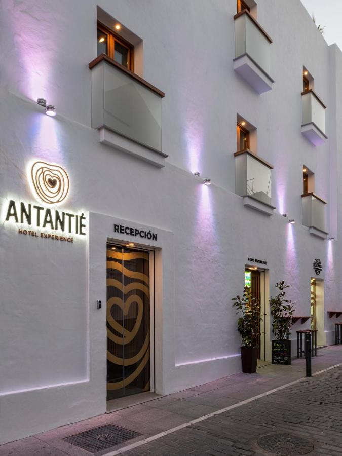 Hotel Antantie Conil De La Frontera Exteriér fotografie